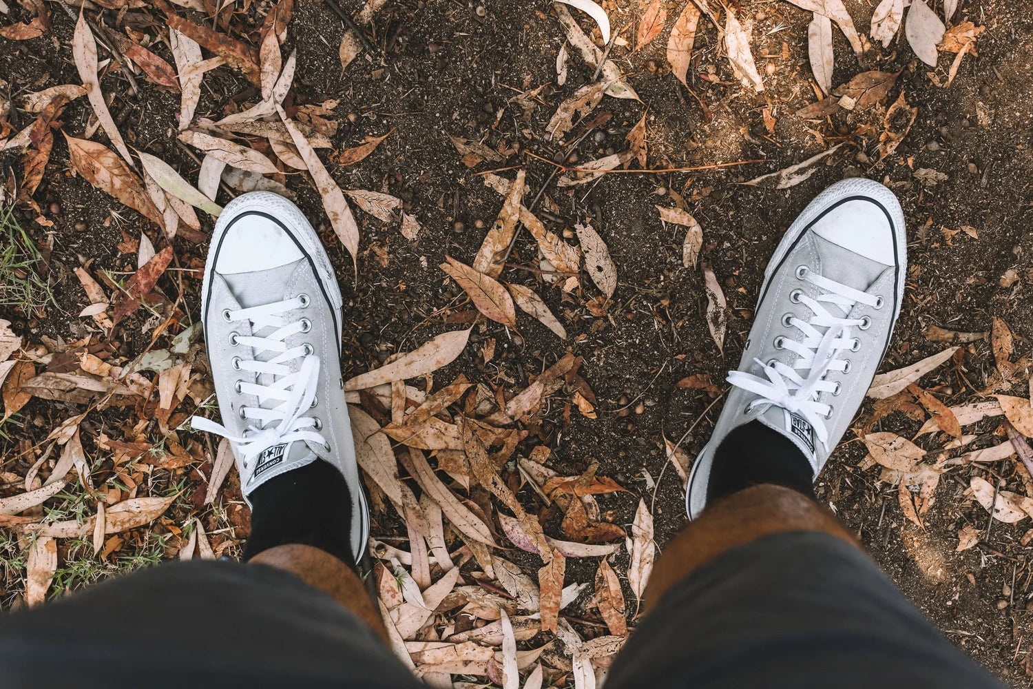 What Socks to Wear with Shorts